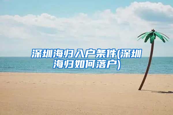 深圳海归入户条件(深圳海归如何落户)