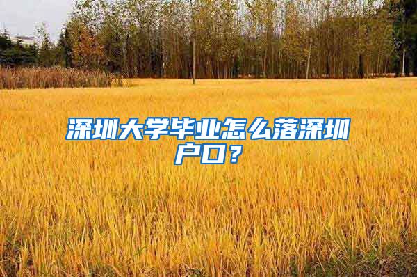 深圳大学毕业怎么落深圳户口？