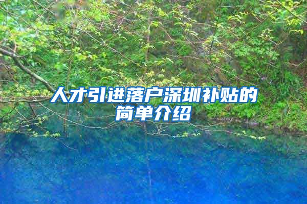 人才引进落户深圳补贴的简单介绍