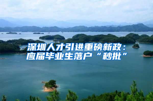 深圳人才引进重磅新政：应届毕业生落户“秒批”