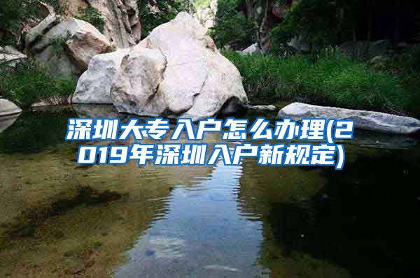 深圳大专入户怎么办理(2019年深圳入户新规定)