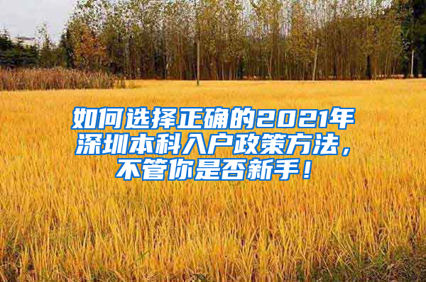 如何选择正确的2021年深圳本科入户政策方法，不管你是否新手！