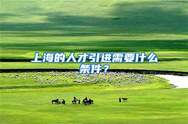 上海的人才引进需要什么条件？