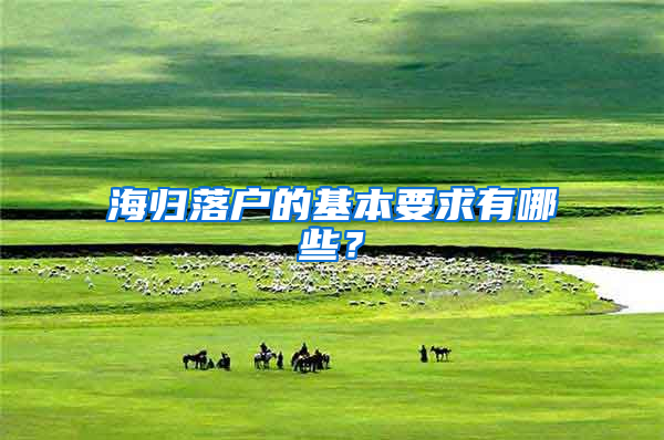 海归落户的基本要求有哪些？