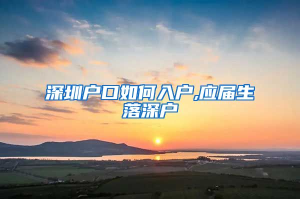 深圳户口如何入户,应届生落深户