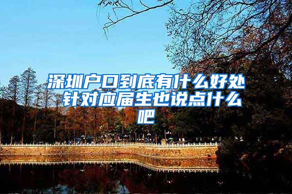 深圳户口到底有什么好处 针对应届生也说点什么吧
