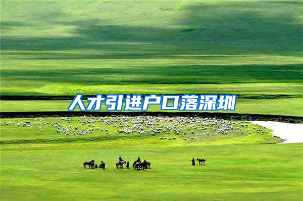 人才引进户口落深圳