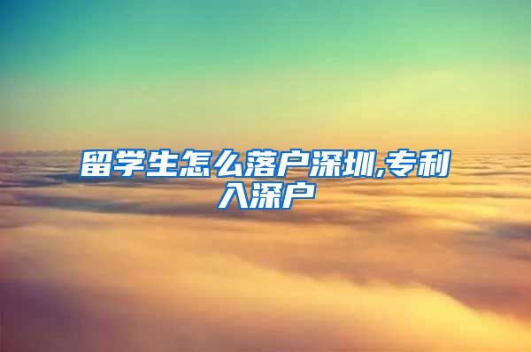 留学生怎么落户深圳,专利入深户