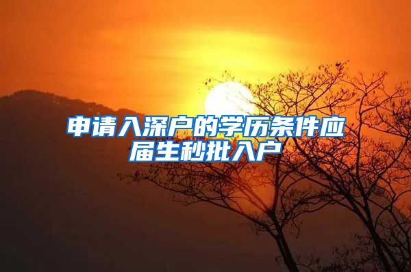 申请入深户的学历条件应届生秒批入户