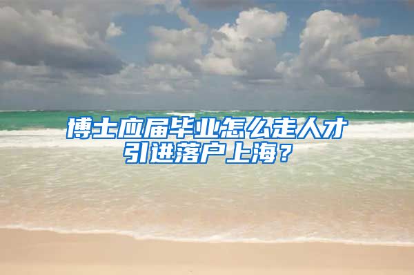 博士应届毕业怎么走人才引进落户上海？
