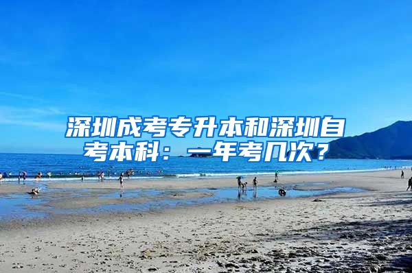 深圳成考专升本和深圳自考本科：一年考几次？