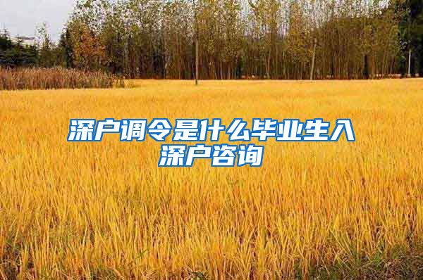 深户调令是什么毕业生入深户咨询
