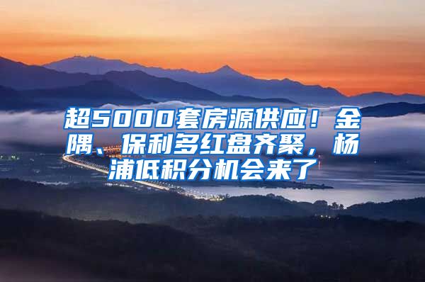 超5000套房源供应！金隅、保利多红盘齐聚，杨浦低积分机会来了