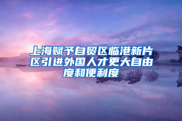 上海赋予自贸区临港新片区引进外国人才更大自由度和便利度