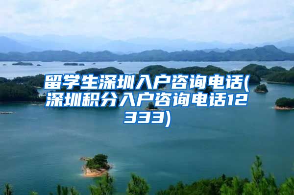 留学生深圳入户咨询电话(深圳积分入户咨询电话12333)