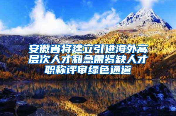 安徽省将建立引进海外高层次人才和急需紧缺人才职称评审绿色通道