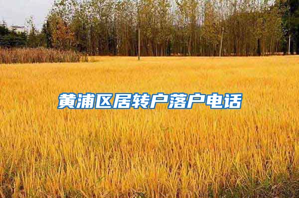黄浦区居转户落户电话