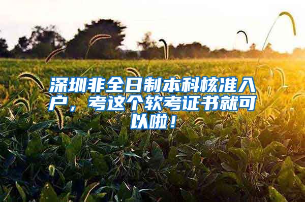 深圳非全日制本科核准入户，考这个软考证书就可以啦！