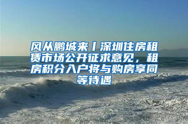 风从鹏城来丨深圳住房租赁市场公开征求意见，租房积分入户将与购房享同等待遇
