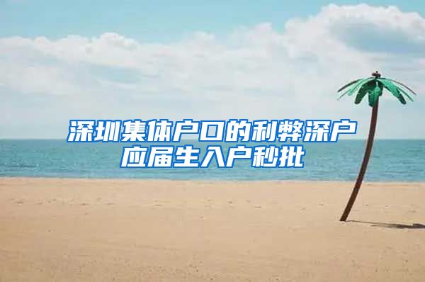 深圳集体户口的利弊深户应届生入户秒批