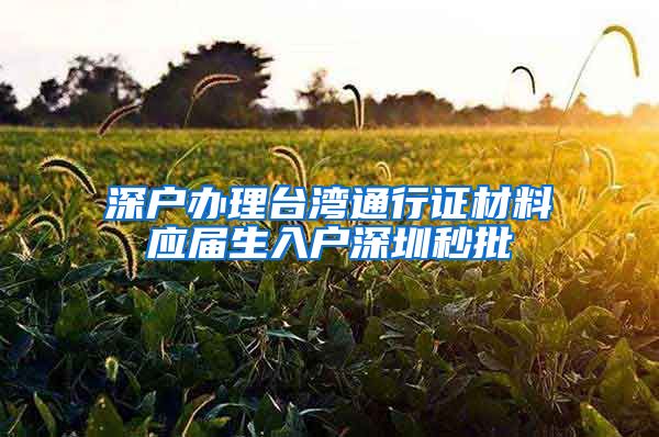 深户办理台湾通行证材料应届生入户深圳秒批