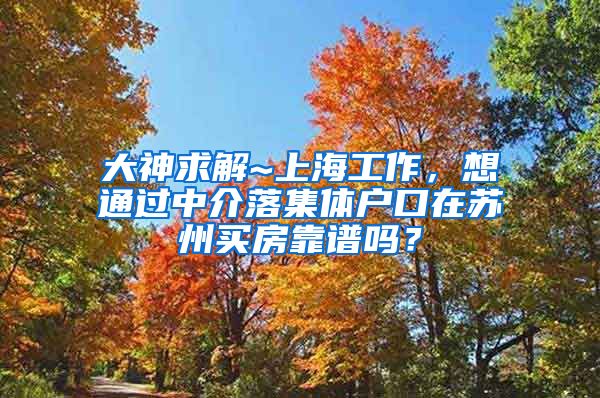 大神求解~上海工作，想通过中介落集体户口在苏州买房靠谱吗？