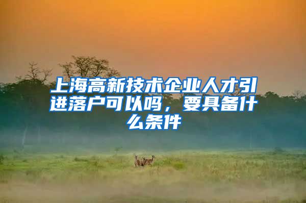 上海高新技术企业人才引进落户可以吗，要具备什么条件
