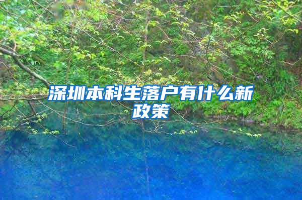 深圳本科生落户有什么新政策