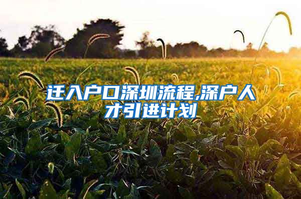 迁入户口深圳流程,深户人才引进计划