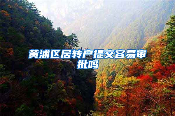 黄浦区居转户提交容易审批吗
