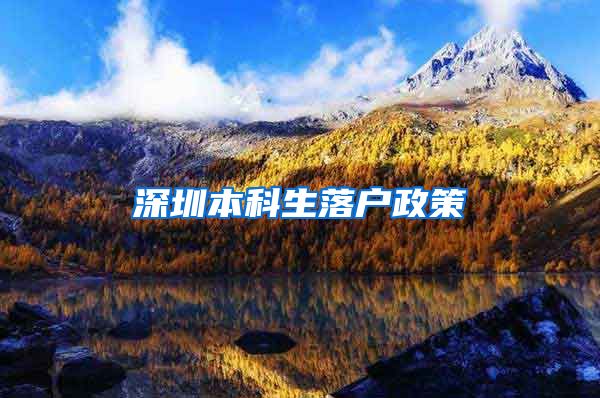 深圳本科生落户政策