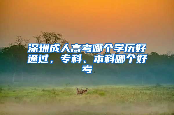 深圳成人高考哪个学历好通过，专科、本科哪个好考