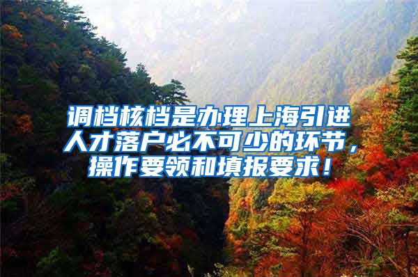 调档核档是办理上海引进人才落户必不可少的环节，操作要领和填报要求！