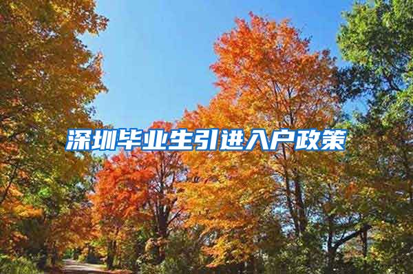 深圳毕业生引进入户政策