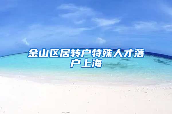 金山区居转户特殊人才落户上海