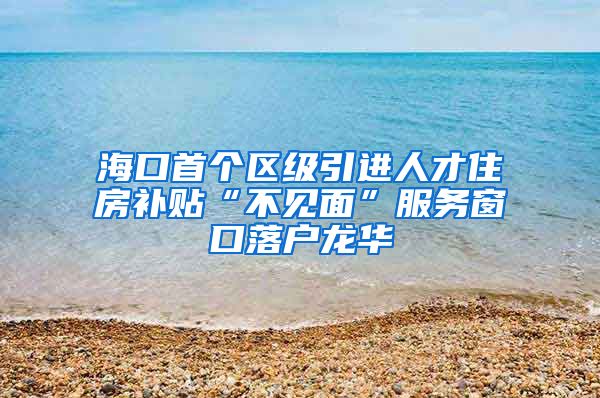 海口首个区级引进人才住房补贴“不见面”服务窗口落户龙华