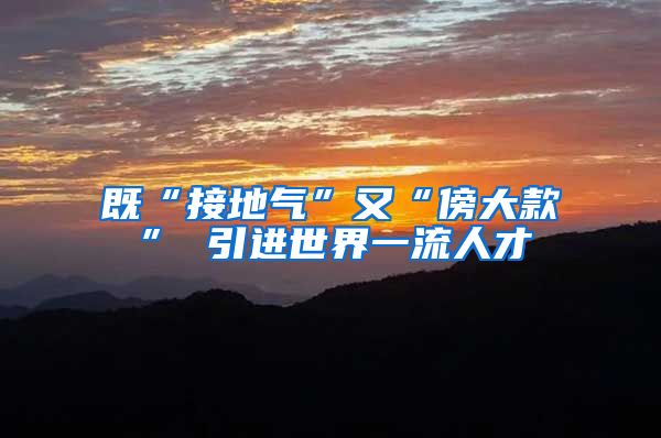 既“接地气”又“傍大款” 引进世界一流人才