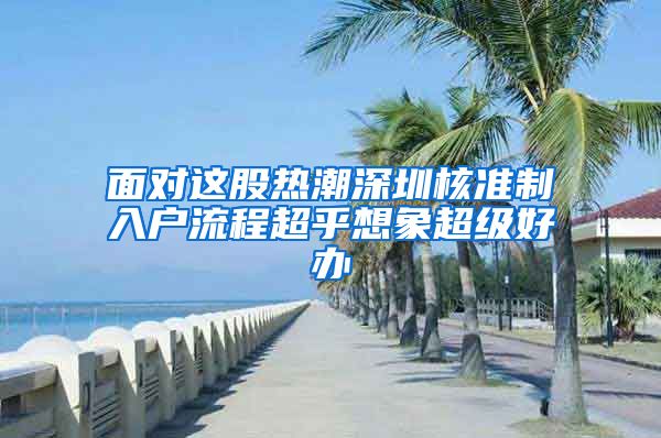 面对这股热潮深圳核准制入户流程超乎想象超级好办