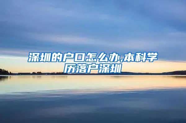 深圳的户口怎么办,本科学历落户深圳