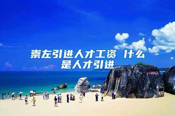 崇左引进人才工资 什么是人才引进