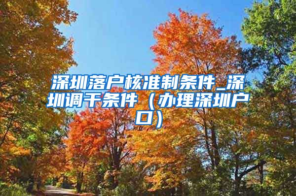 深圳落户核准制条件_深圳调干条件（办理深圳户口）