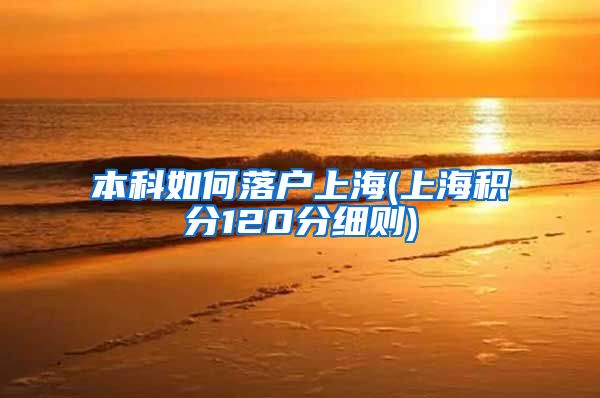 本科如何落户上海(上海积分120分细则)