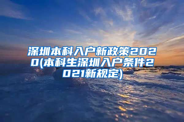 深圳本科入户新政策2020(本科生深圳入户条件2021新规定)