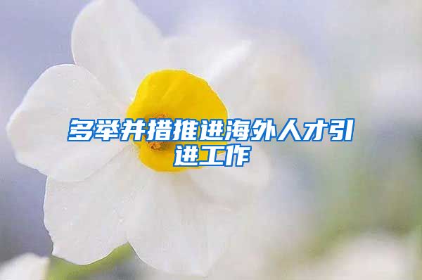 多举并措推进海外人才引进工作