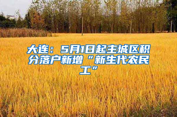 大连：5月1日起主城区积分落户新增“新生代农民工”