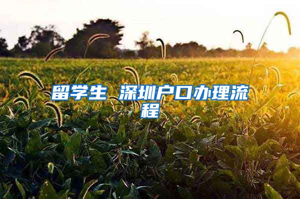 留学生 深圳户口办理流程