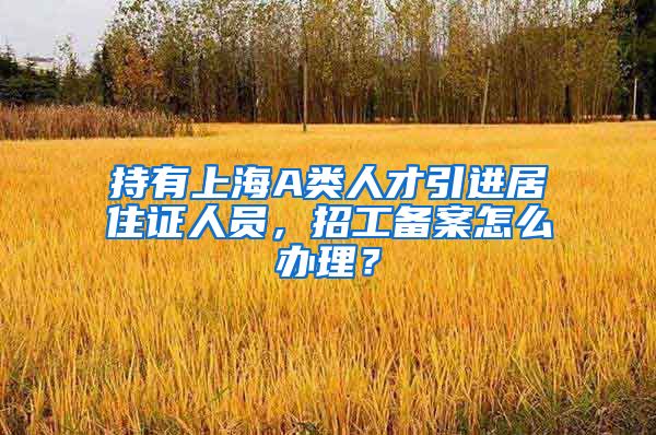 持有上海A类人才引进居住证人员，招工备案怎么办理？