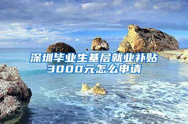 深圳毕业生基层就业补贴3000元怎么申请