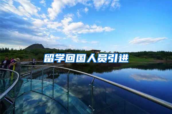留学回国人员引进