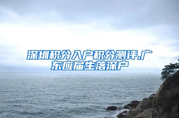 深圳积分入户积分测评,广东应届生落深户